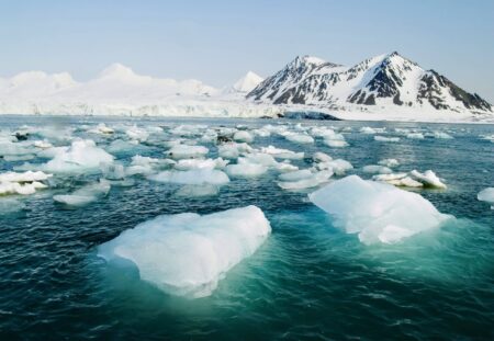 Acerbic Content in Arctic Ocean Endangering Aquatic Life - Asiana Times