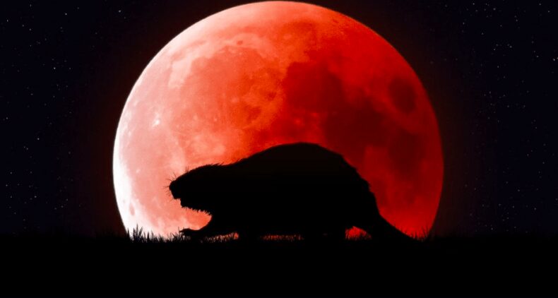 <strong>TOTAL LUNAR ECLIPSE AND A BEAVER MOON</strong> - Asiana Times