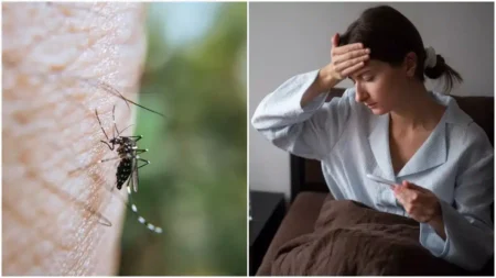 50-50 about Dengue or Covid: preventive measures and symptoms - Asiana Times
