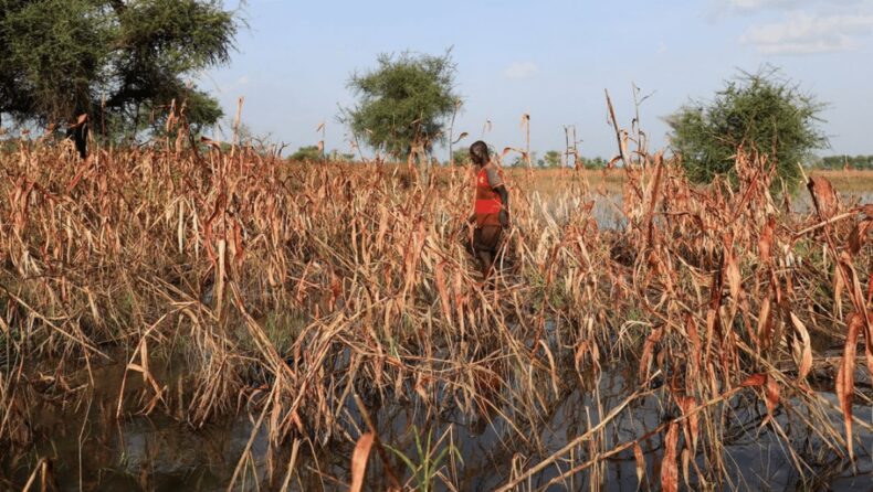 Food security in Central and West Africa impacted by massive floods.
