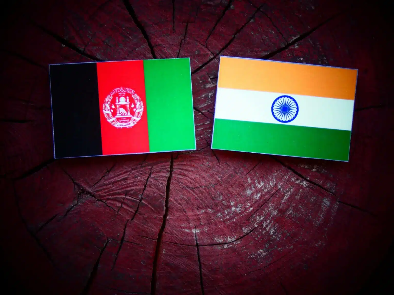 Projects slowed down after the Taliban took control of Afghanistan: India - Asiana Times