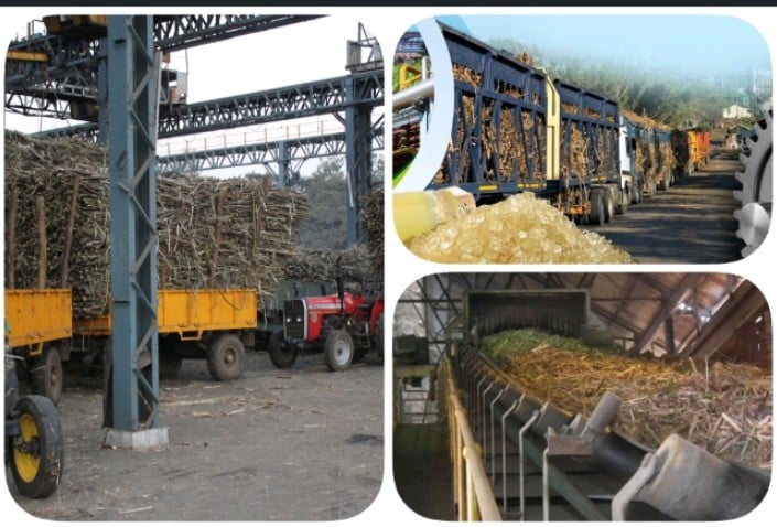 india resumed exports of sugar