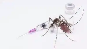 Dengue vaccine