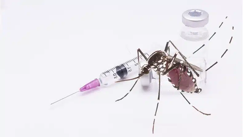 Dengue vaccine