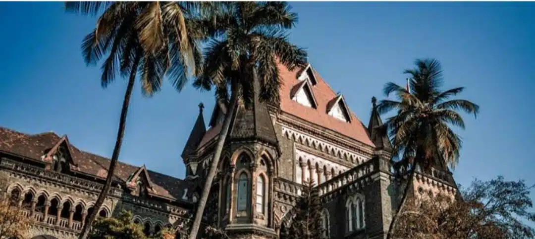 Bombay High Court grants bail in a Pocso Case