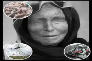 Image Source-dnpindia.in