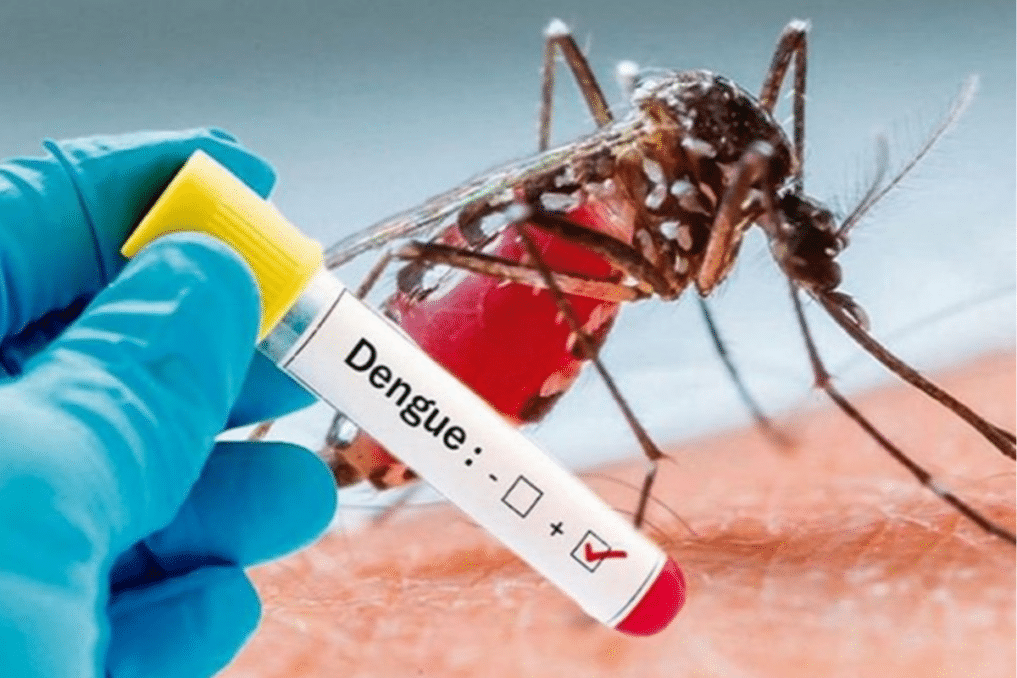 Private Labs to deliver Dengue reports to the Health Department - Asiana Times