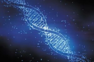 Beachfront Life Lores Announces" beachfront Genomic Wellness." - Asiana Times