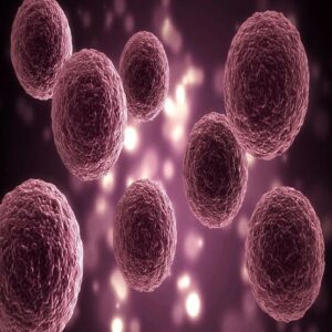 Source : news18हिंदी