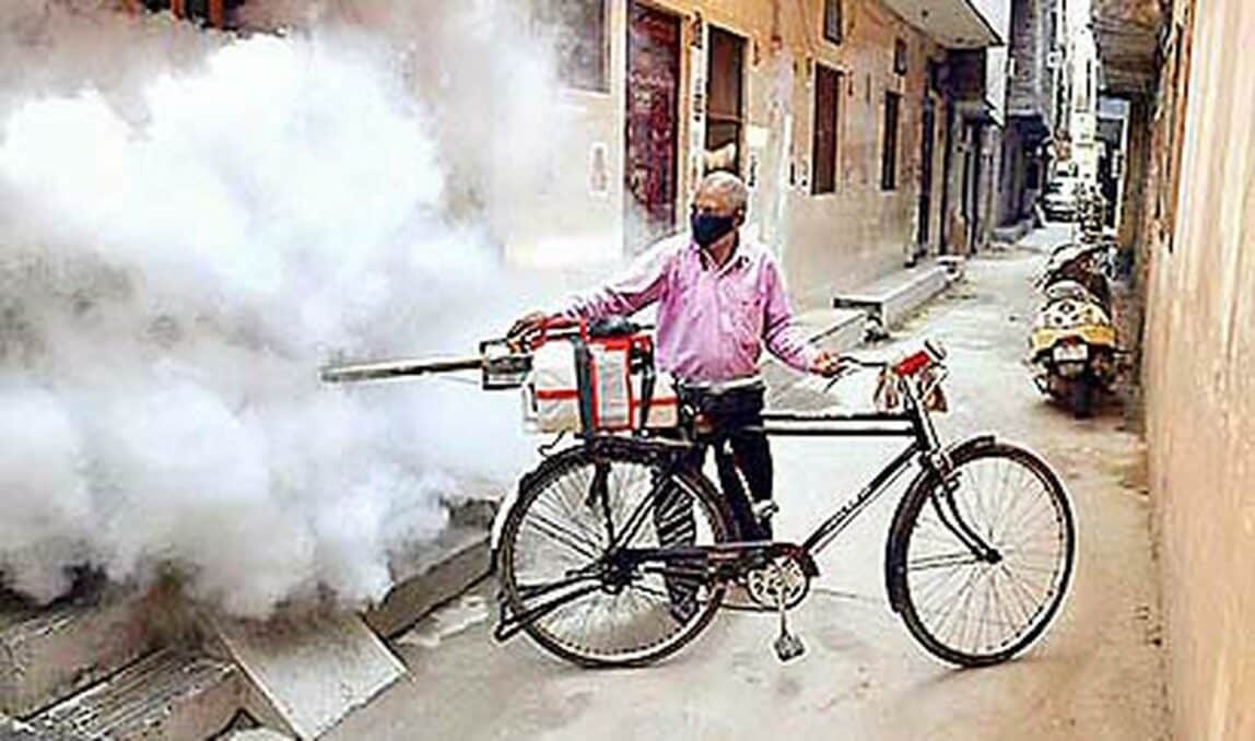 delhi cases of dengue