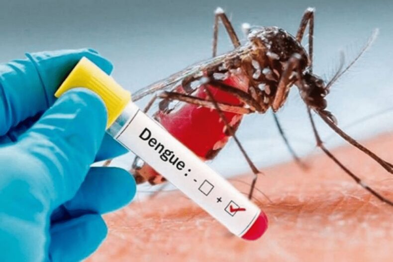 Dengue cases rises