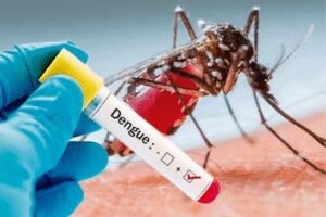 Takeda set to bring Dengue Vaccine in India <strong>Takeda set to bring Dengue Vaccine in India</strong> - Asiana Times