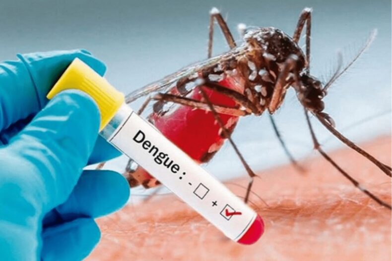 <strong>Takeda set to bring Dengue Vaccine in India</strong> - Asiana Times