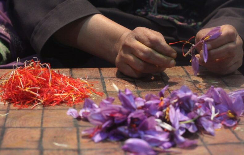 Indoor farming: Kashmir Farmers try a new way of cultivating Saffron due to Climate Change - Asiana Times