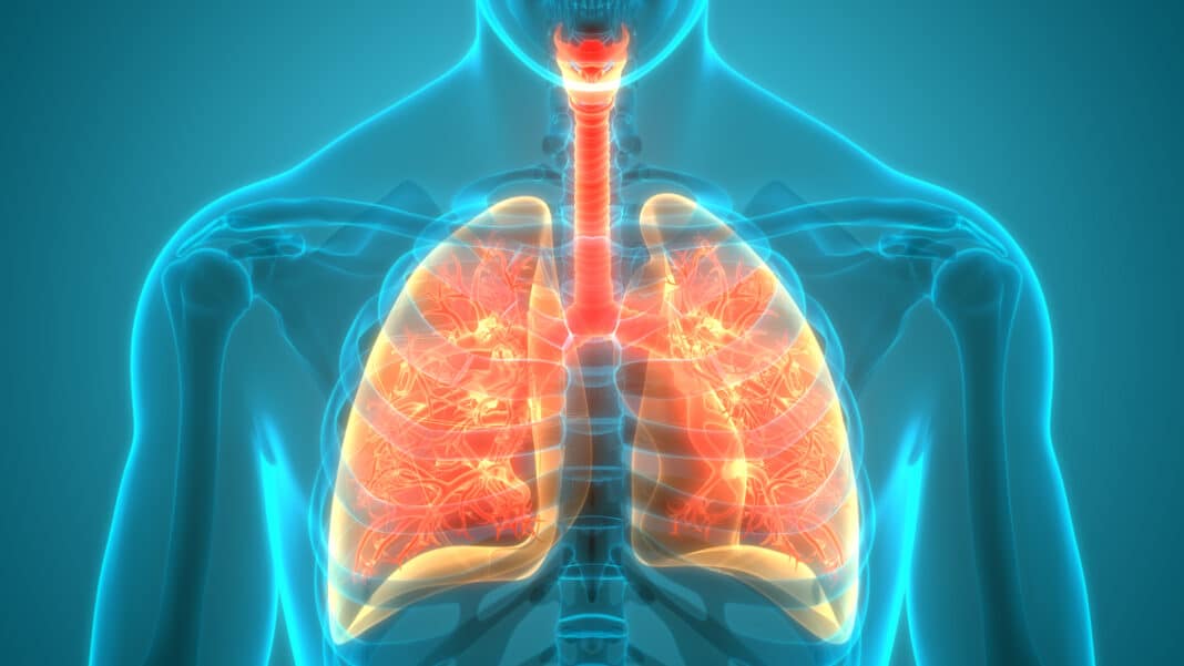 New Test to measure the Severity of Cystic Fibrosis - Asiana Times
