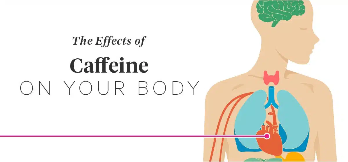 This is how Coffee affects our body