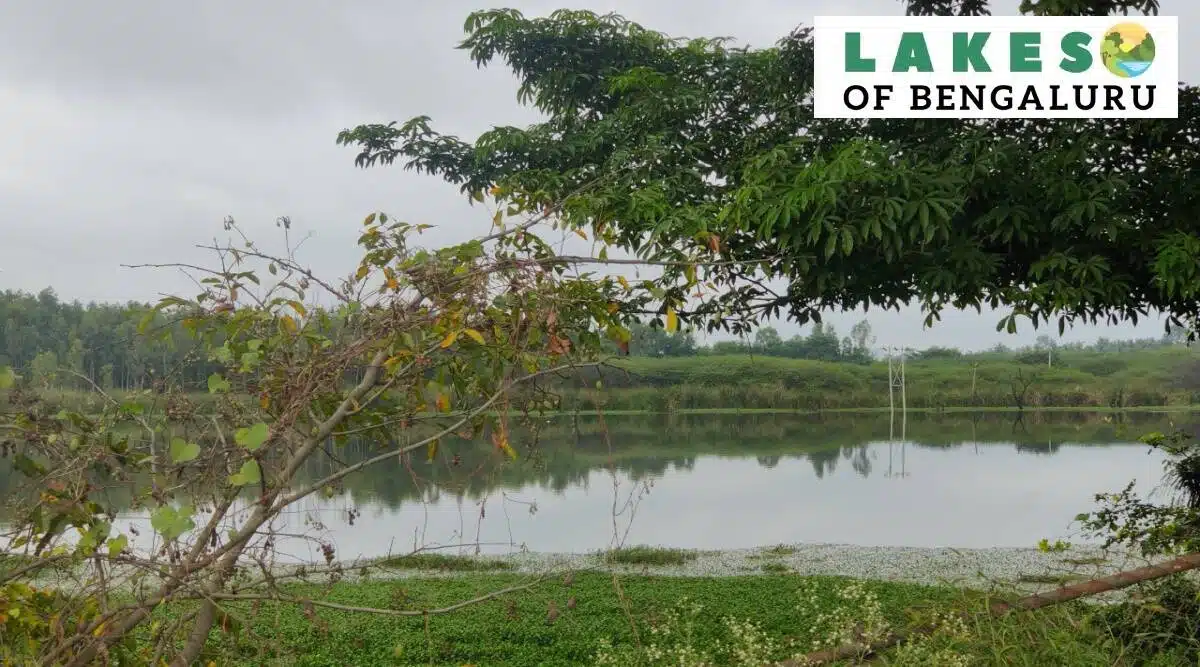 Despite Chandapura Lake's concealment, NGT levies Rs 500 Cr - Asiana Times