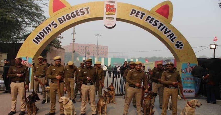 Delhi pet fed festival 2022