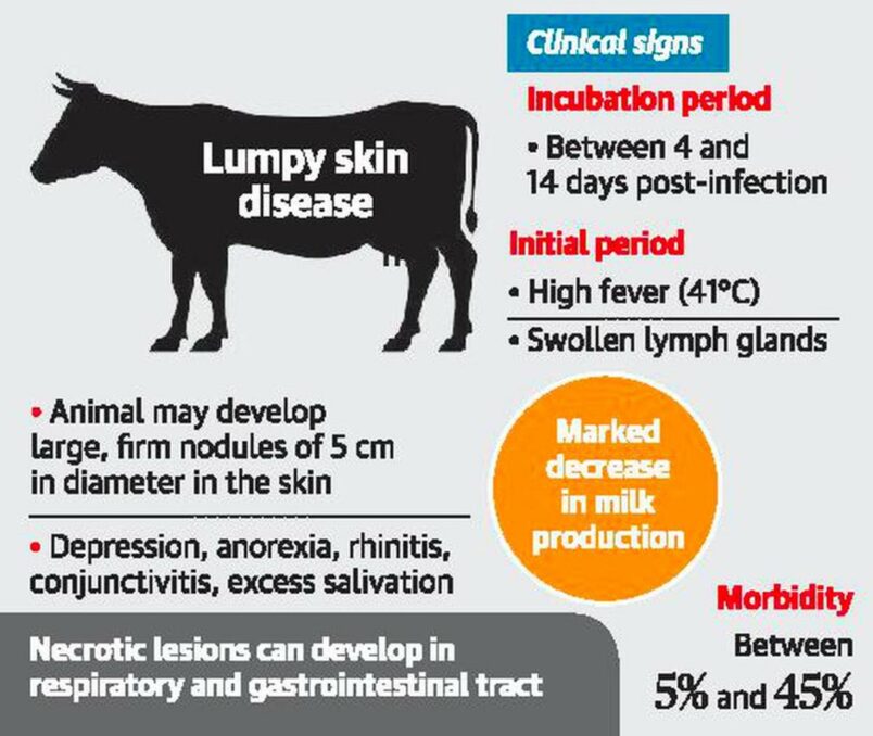 lumpy skin disease overview 