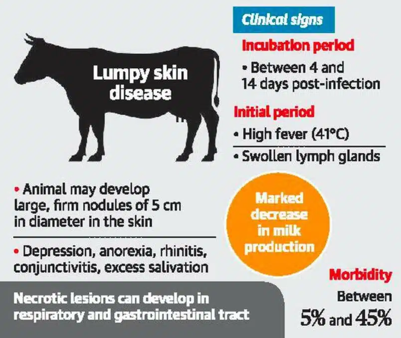 lumpy skin disease overview 
