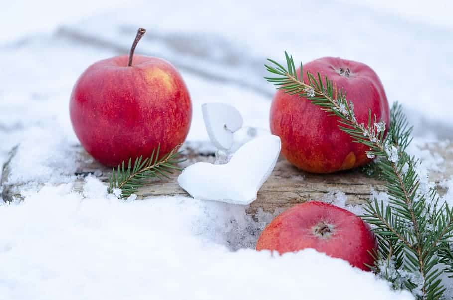 Red alert!Why should you choose apples in winter? Know 5 life-changing reasons. - Asiana Times
