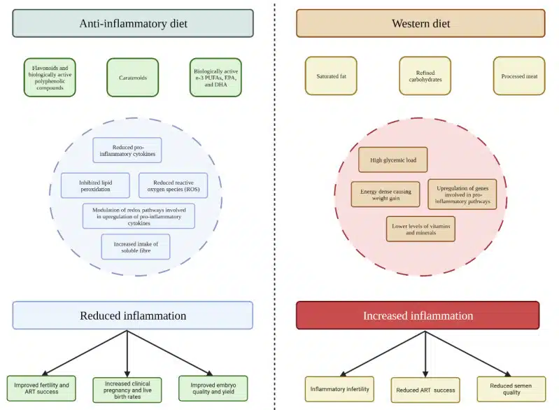 Mediterranean diet vs western diet
