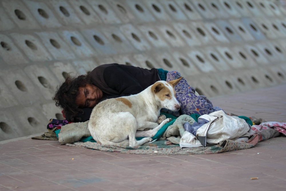 Homelessness in Delhi: A Complex and multifaceted Problem - Asiana Times