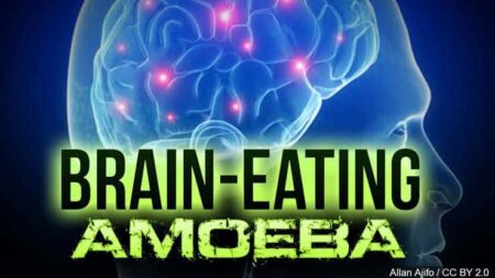 Brain Eating Amoeba kills South Korean man. - Asiana Times