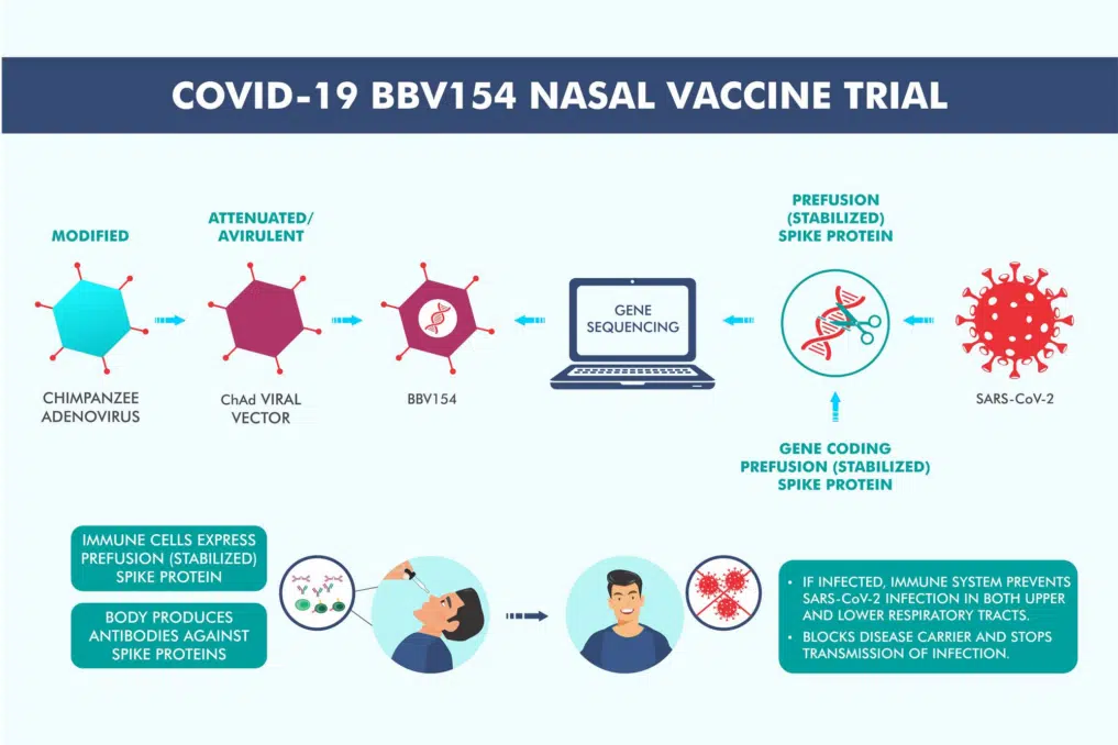 Covid 19: Intranasal needle-free covid vaccine in India now - Asiana Times