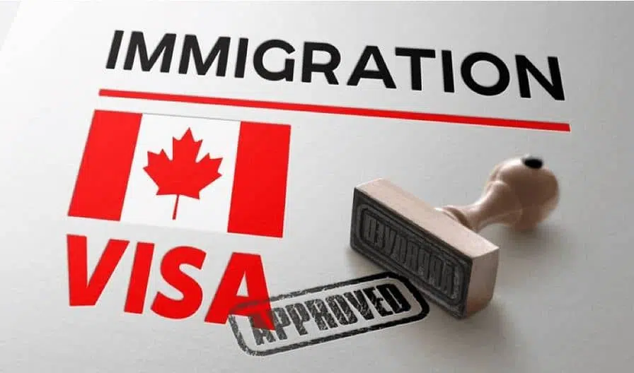 Immigration: Visa Applications Approved