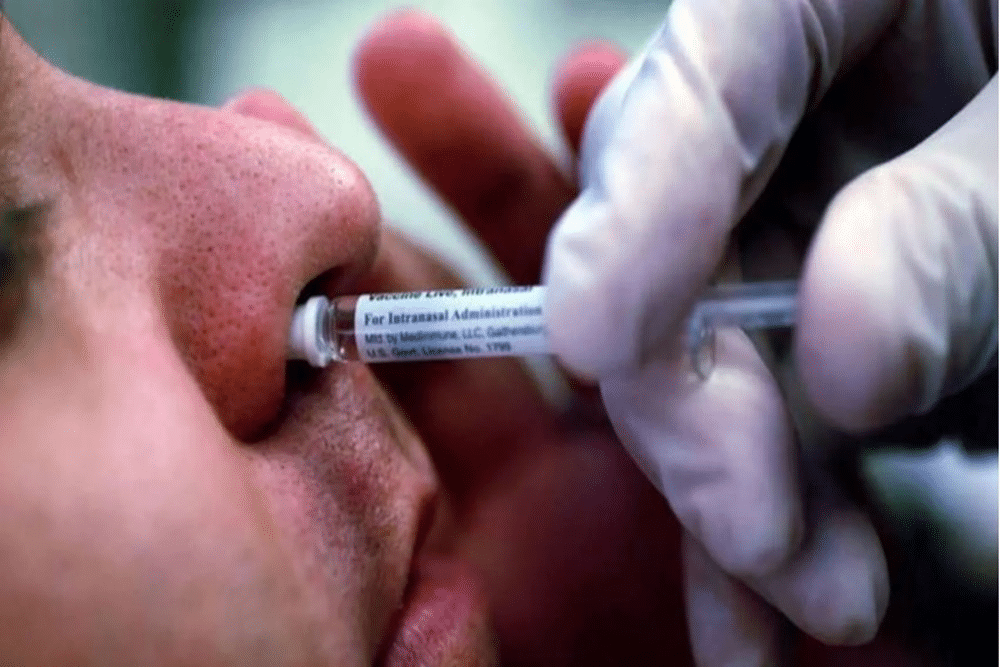 cost of Intranasal vaccine declared