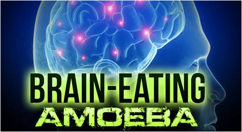 Brain eating amoeba