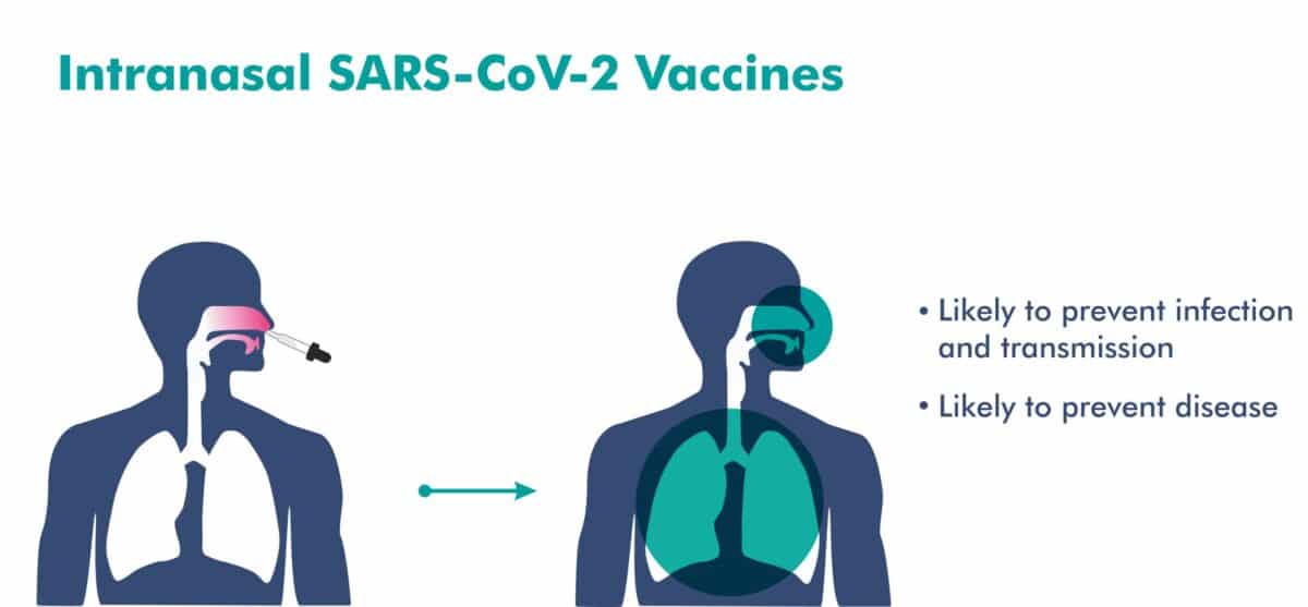 Cost of India’s first Nasal Vaccine for COVID - Asiana Times
