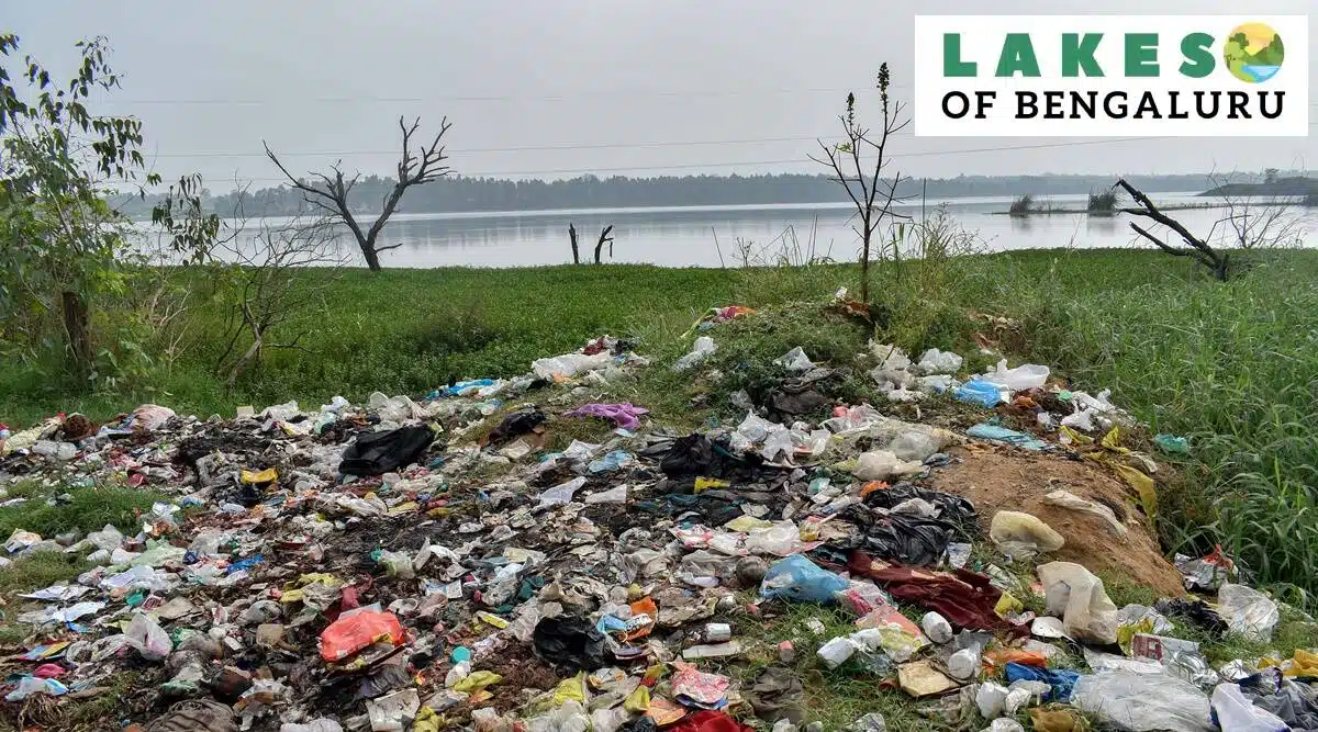 Despite Chandapura Lake's concealment, NGT levies Rs 500 Cr - Asiana Times