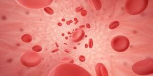 Specific Pathogen screening in Blood samples saves lives - Asiana Times