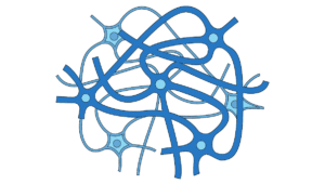 Researchers find severe COVID resembles an age-old Human Brain Researchers find severe COVID resembles an age-old Human Brain - Asiana Times