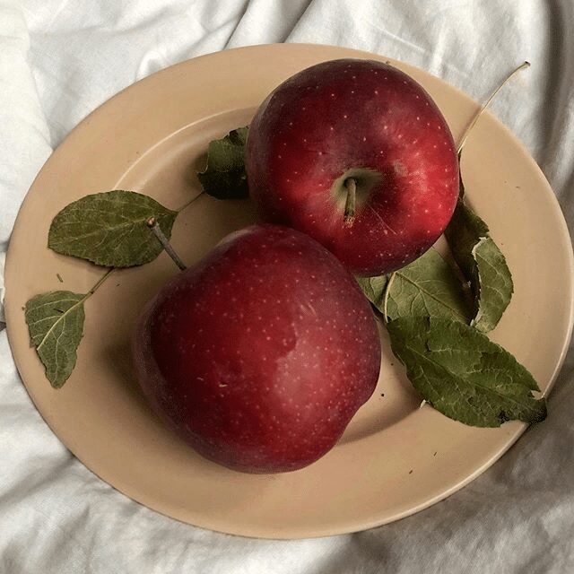 2 apples are on the plate