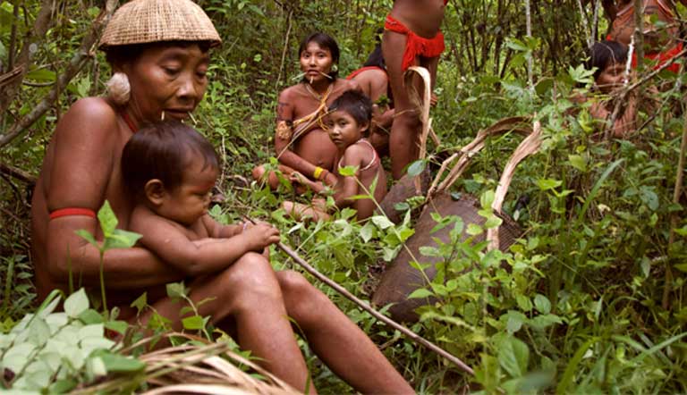 Yanomami Grieves: Brazil Declares Medical Emergency