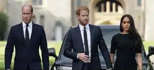 William Physically attacked me during a fight over Meghan: Prince Harry - Asiana Times