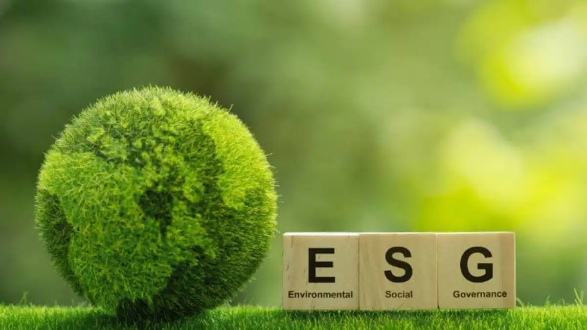 ESG adoption and practice can help MSMEs play a vital role in decreasing carbon emissions: Experts - Asiana Times