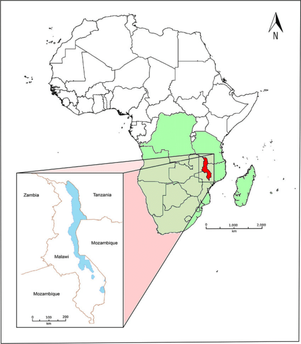 <strong>Cholera outbursts in Malawi, death toll reaches 1000</strong> - Asiana Times