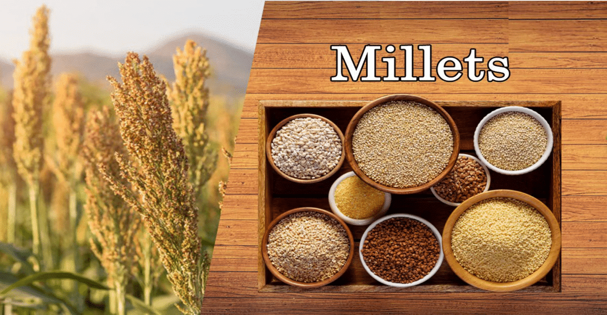 Millets