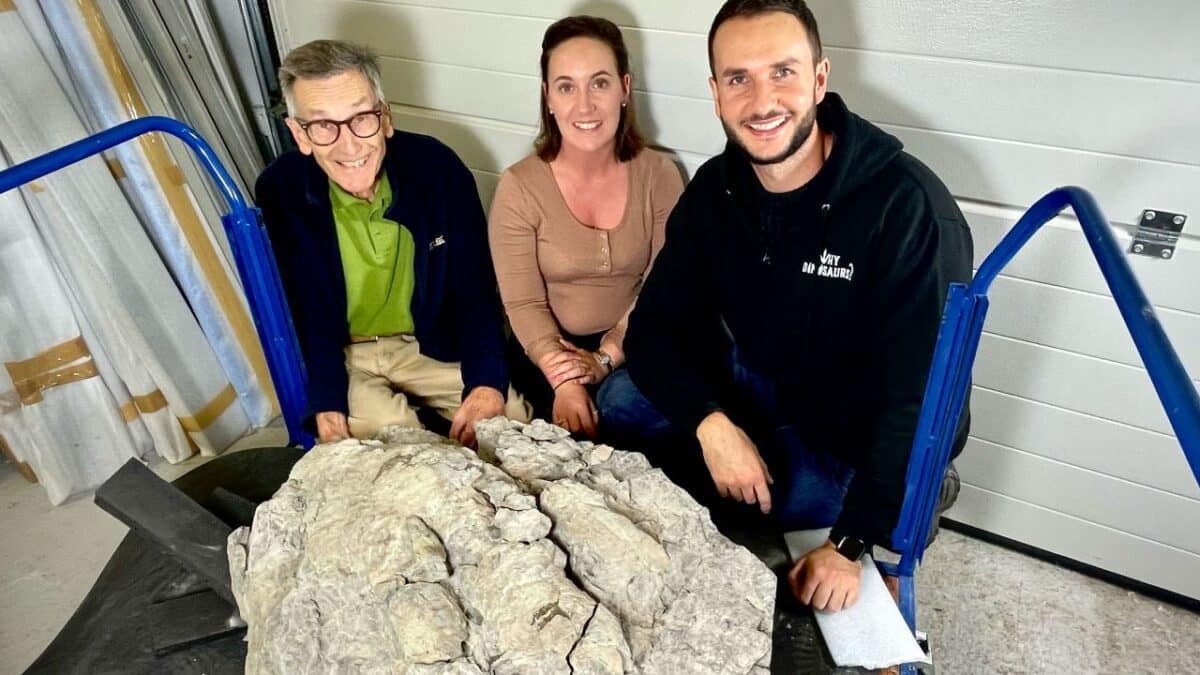 <strong>Meat Eating Dinosaur Footprint Discovered in the UK</strong> - Asiana Times