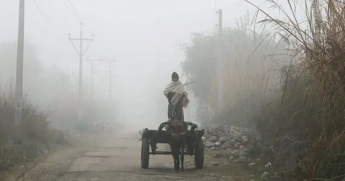 A Person rides a cart in Cold