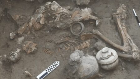<strong> Evidence of Brain Surgery Found in 3000-Year-Old Skull</strong> - Asiana Times