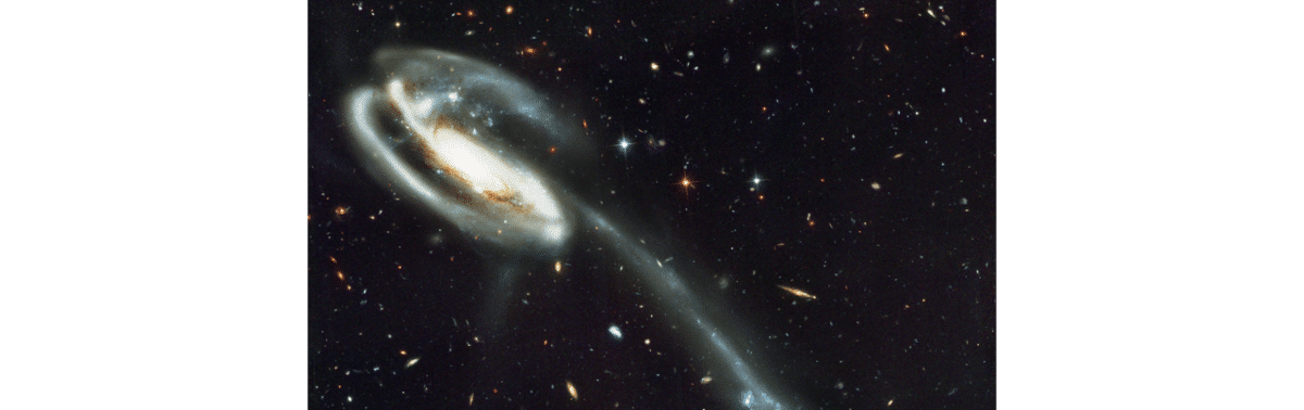 The Tadpole Galaxy