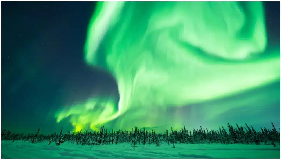 Auroras Splendor over Alaska on valentine's day Feb 14. - Asiana Times