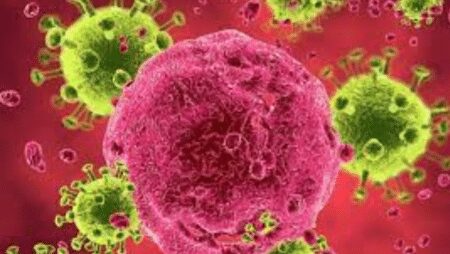 The third patient survived HIV after receiving Virus resistant cells in 2024 - Asiana Times