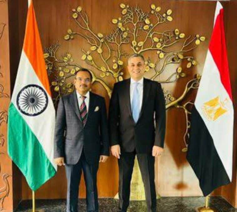 India-Egypt joint working group
