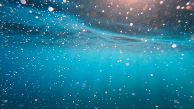 Study reveals why microbes can survive sans sunlight in deep oceanic waters - Asiana Times